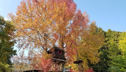 レトロ可愛い！バルンバルンの森（大分）－細かすぎるキャンプ場レポ