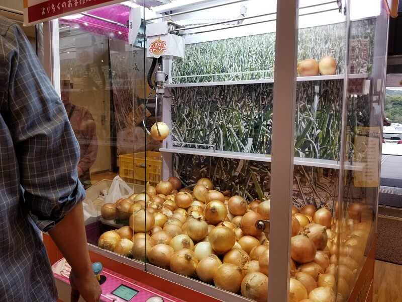 うどん県と淡路島 3泊4日のキャンプ旅行記（たまねぎUFOキャッチャー）