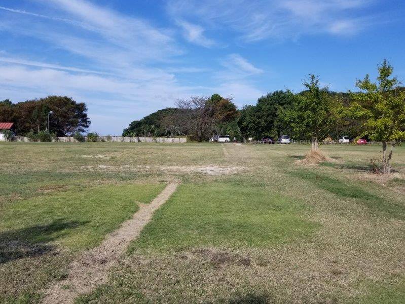 大池オートキャンプ場 フリーサイトC・D