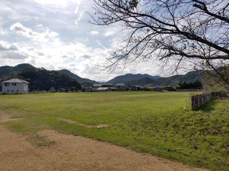 大池オートキャンプ場 フリーサイトD