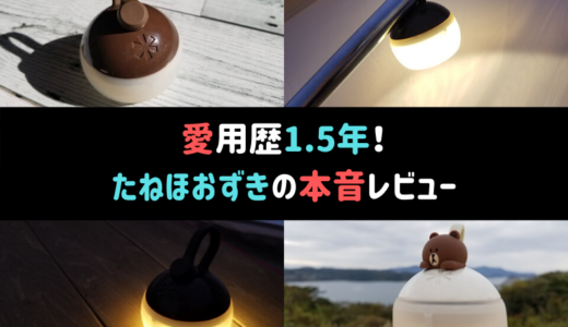 愛用歴1.5年！スノーピーク「たねほおずき」の本音レビュー