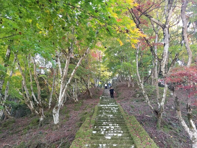 中津市耶馬溪町 御霊もみじ（御霊神社）