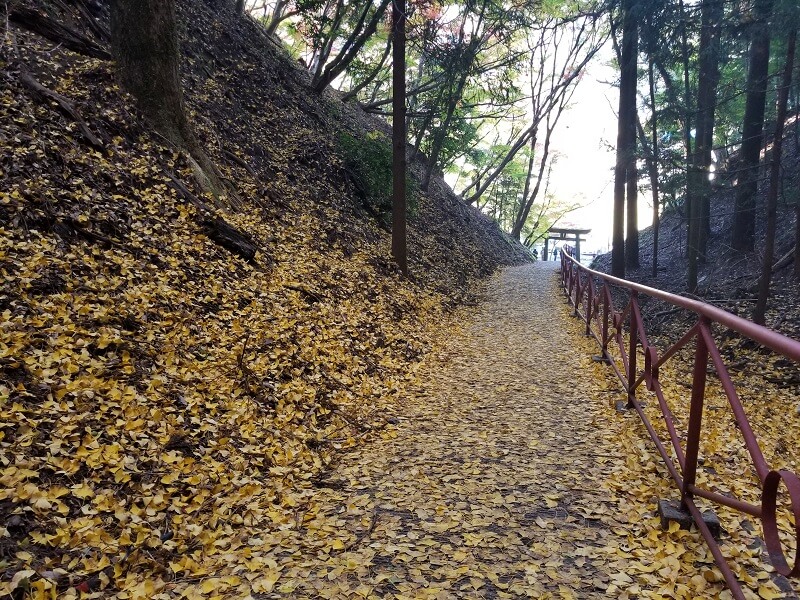 中津市耶馬溪町 御霊もみじ（御霊神社）