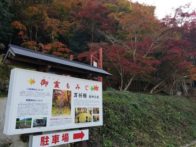 中津市耶馬溪町 御霊もみじ（御霊神社）