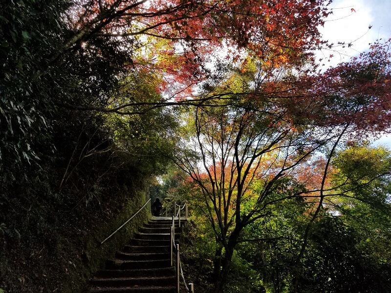 中津市本耶馬渓町 羅漢寺駅から羅漢寺までの道