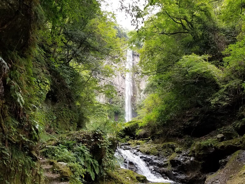 大分県宇佐市安心院町 東椎屋の滝