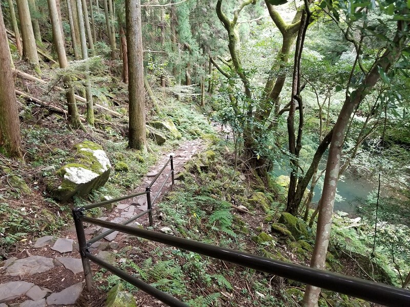 大分県宇佐市安心院町 東椎屋の滝までの道