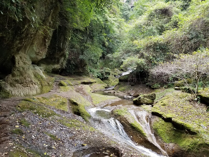 大分県宇佐市安心院町 東椎屋の滝までの道