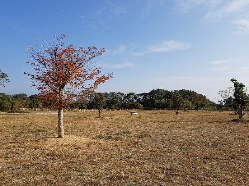 西海橋オートキャンプ場 オートサイト