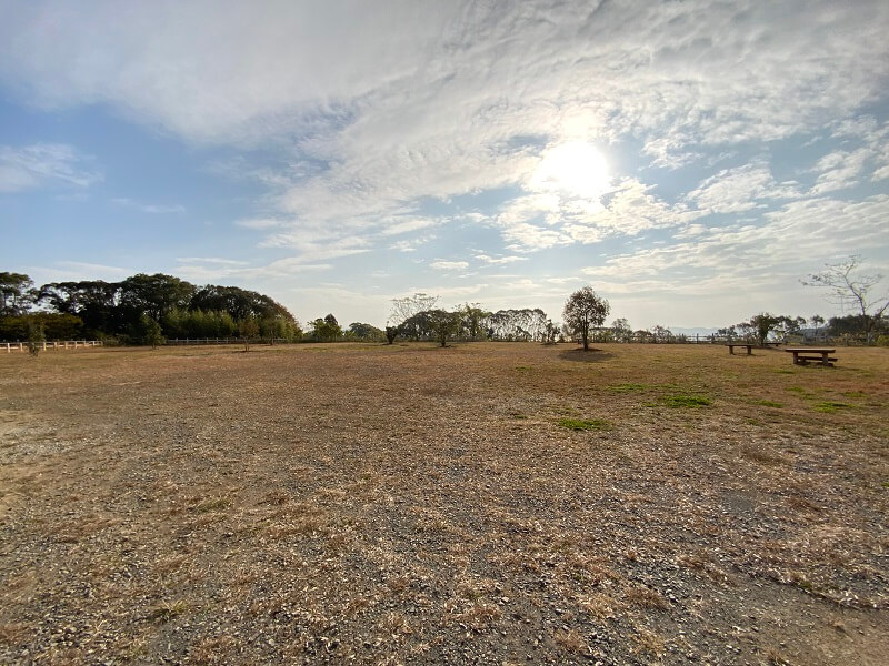 西海橋オートキャンプ場 オートサイト